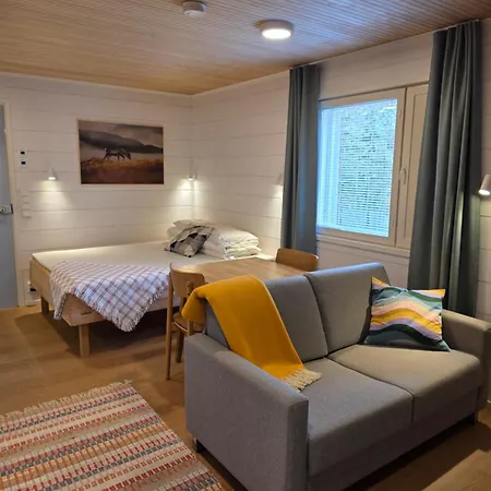 Apartmán Levilehto *